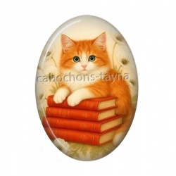 chat noir coquelicot