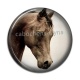 Cabochon Résine - cheval