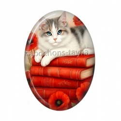 chat noir coquelicot