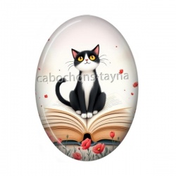 chat noir coquelicot