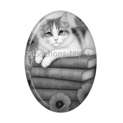 chat noir coquelicot