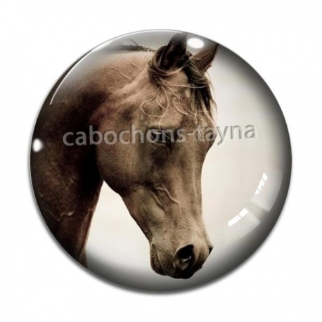 Cabochon Verre - cheval