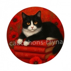 chat noir coquelicot