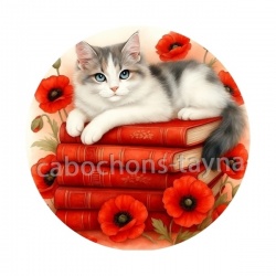 chat noir coquelicot