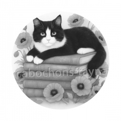 chat noir coquelicot