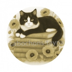 chat noir coquelicot