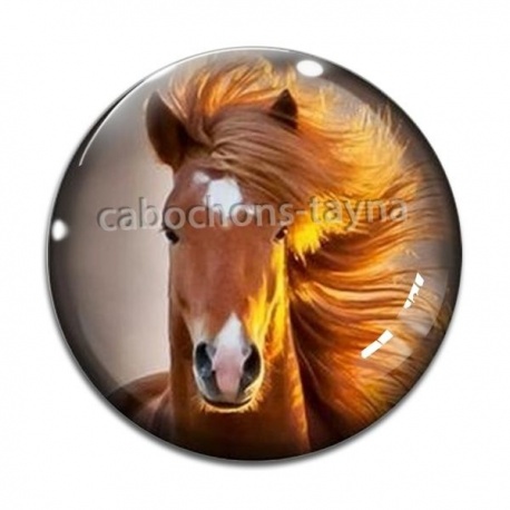 Cabochon Verre - cheval