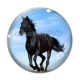 Cabochon Verre - cheval