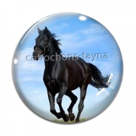 Cabochon Verre - cheval