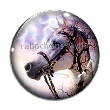 Cabochon Verre - cheval