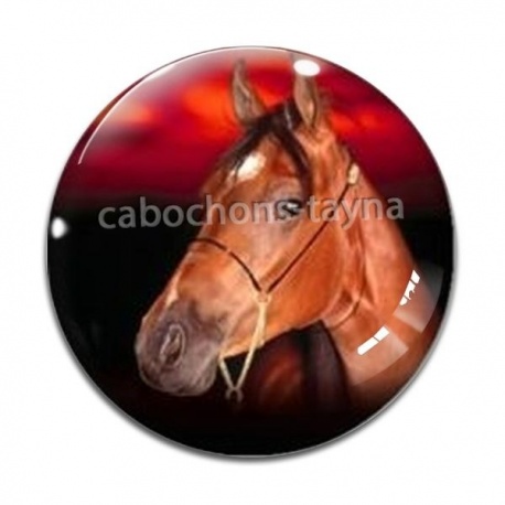 Cabochon Verre - cheval