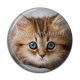 Cabochon Résine - chaton