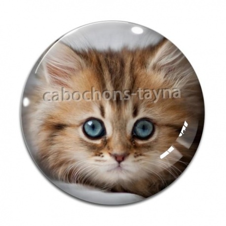 Cabochon Verre - chaton