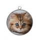 Pendentif Cabochon Argent - chaton