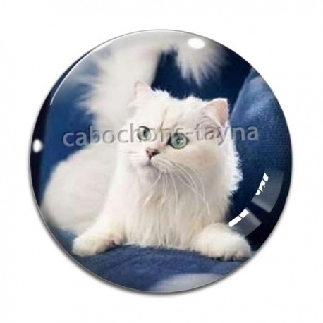 Cabochon Verre - chat