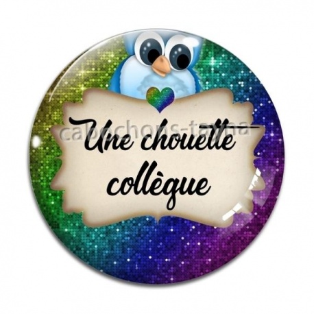 Cabochon Verre - une chouette collègue
