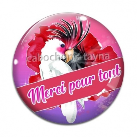 Cabochon Verre - merci pour tout