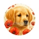 chien coquelicot