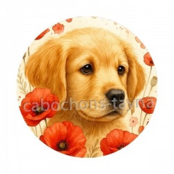 chien coquelicot