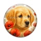 Cabochon Verre - chien coquelicot