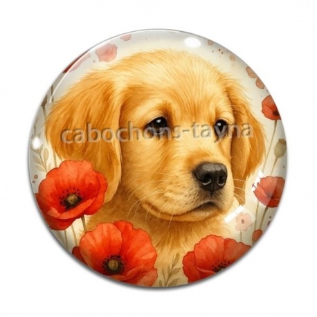 Cabochon Verre - chien coquelicot