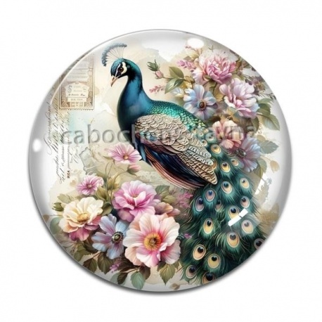 Cabochon Verre - paon