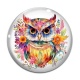 Cabochon Verre - chouette