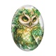 Cabochon Verre Ovale - chouette