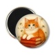 Magnet's - chat livre
