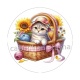 chat