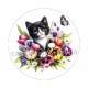 chat