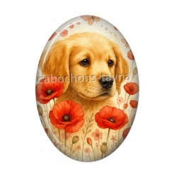 chien coquelicot