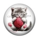 Cabochon Résine - chaton