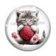 Cabochon Verre - chaton