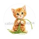 chaton