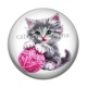 Cabochon Résine - chaton