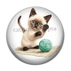 Cabochon Résine - chaton