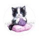 chaton