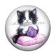 Cabochon Résine - chaton