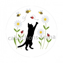 chat