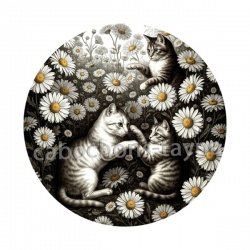 chat