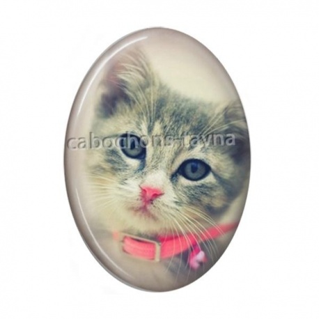 Cabochon Résine Ovale - chat