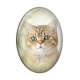 Cabochon Résine Ovale - chat