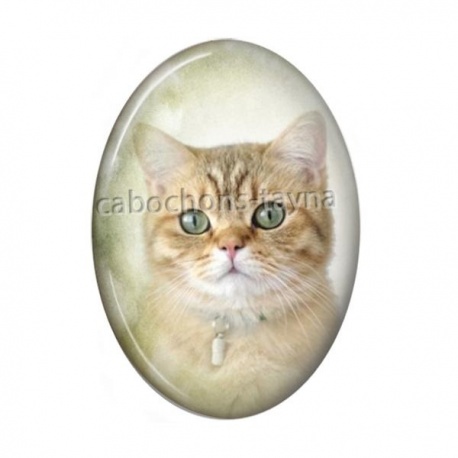 Cabochon Résine Ovale - chat