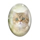 Cabochon Verre Ovale - chat