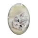 Cabochon Verre Ovale - chat