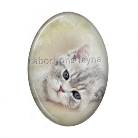 Cabochon Résine Ovale - chat
