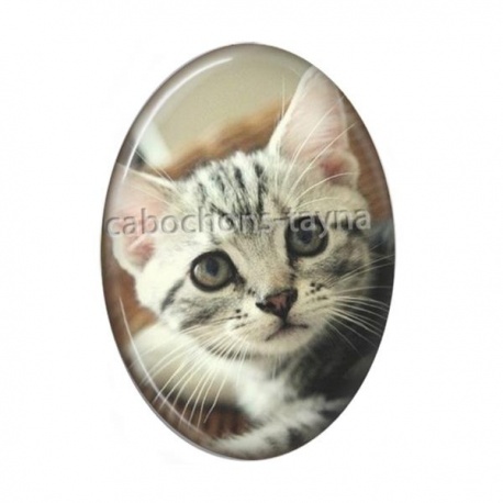 Cabochon Résine Ovale - chat