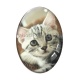 Cabochon Verre Ovale - chat