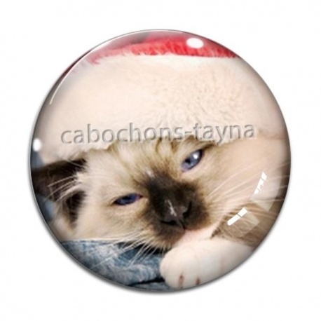 Cabochon Verre - chat de noël
